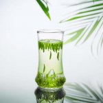 正宗的竹葉青產(chǎn)自哪里？