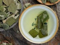 荷葉茶為什么叫短命茶？