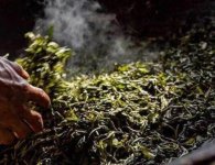 炒茶葉的四大步驟？